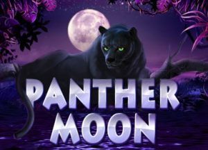 Bonus888 - Panther Moon - bonus8881