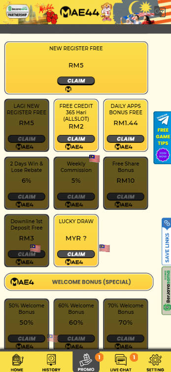 MAE44 - Promotion - bonus8881